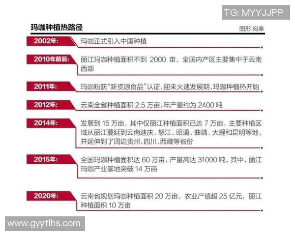 足球明星薪资为何一直保持神秘背后的真相与行业潜规则分析